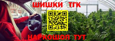 хмурый Заводоуковск