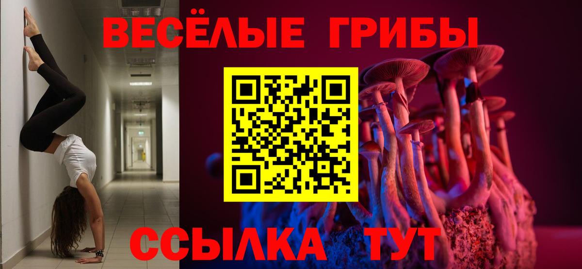 Псилоцибиновые грибы MAGIC MUSHROOMS  Галлюциногенные грибы Psilocybe  Вход с VPN  Киржач 